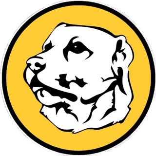 Telegram profile photo for bisheneli.shop Зоотовары Пермь