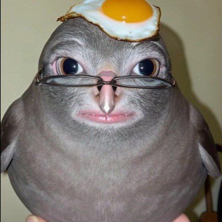 Telegram profile photo for несомненный лох