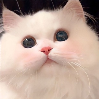 Telegram profile photo for Stickers