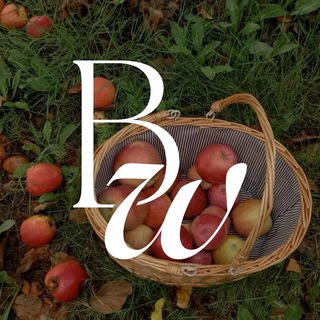 Telegram profile photo for betty's wallpapers | обои