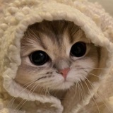 Telegram profile photo for ChangeLog Инжир'а