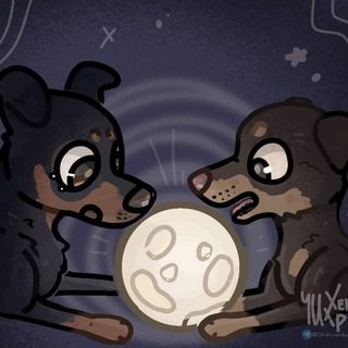 Telegram profile photo for Укромное местечко Кайо