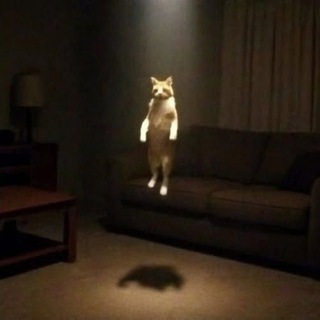 Telegram profile photo for отрицание от™