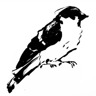 Telegram profile photo for by m.