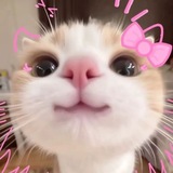 Telegram profile photo for cookie's &, =__01!2!1!