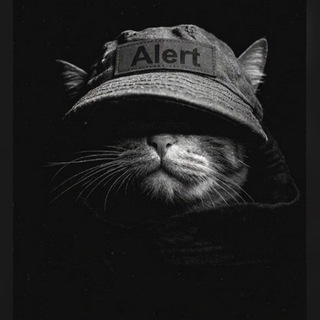 Telegram profile photo for Alert | Васильківка