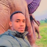 Telegram profile photo for Film