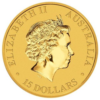 Telegram profile photo for NewCoin