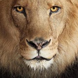 Telegram profile photo for Dr. Tau Braun