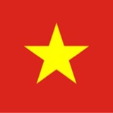 Telegram profile photo for VND Price