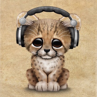 Telegram profile photo for HSM FREE TIPS