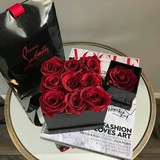 Telegram profile photo for رز نامیرا