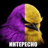 Telegram profile photo for Важная персона
