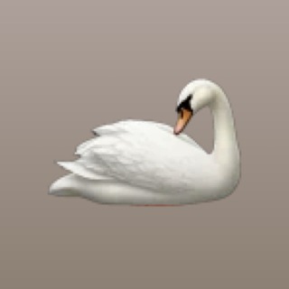 Telegram profile photo for реклама A N N