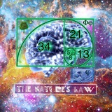 Telegram profile photo for 🌀The Nature law🌻