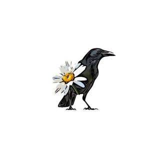 Telegram profile photo for 𝑴𝒓𝒔 𝑩𝒍𝒐𝒈𝒈ఌ︎