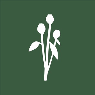 Telegram profile photo for ЛОПУХИ • доставка цветов в Санкт-Петербурге