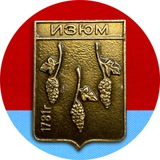 Telegram profile photo for ИЗЮМ НАШ