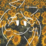 Telegram profile photo for sunday nights🌻
