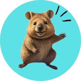 Telegram profile photo for Quirky Quokka Coin Channel