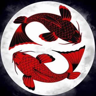 Telegram profile photo for Мафия во Вроцлаве |BlackFish Wroclaw |