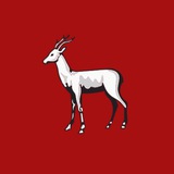Telegram profile photo for В Самаре и точка