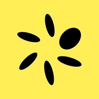 Telegram group profile photo for Pera Wallet