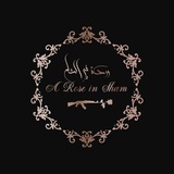 Telegram profile photo for A Rose In Sham 🥀
