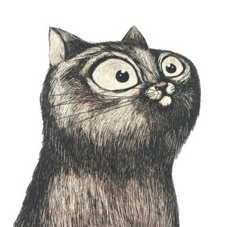 Telegram profile photo for Stupid Animals