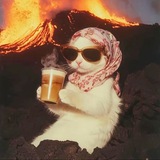 Telegram profile photo for Будка Ксинакса