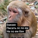 Telegram profile photo for Блог табуретки