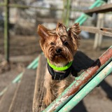 Telegram profile photo for Кадры барни