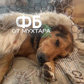 Telegram profile photo for ғᴏᴛᴏ ʙᴀᴛʟɪ ᴏᴛ ᴍᴜʜᴛᴀʀᴀ