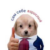 Telegram profile photo for Реклама в "Сам себе взрослый"