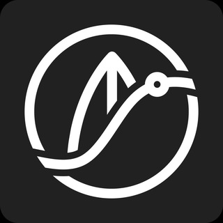 Telegram group profile photo for SURF chat 🇺🇸