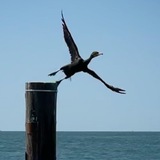 Telegram profile photo for Kruzzair