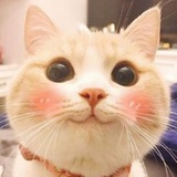 Telegram profile photo for Замурчательно 😼
