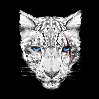 Telegram profile photo for BARS FIGHT TEAM