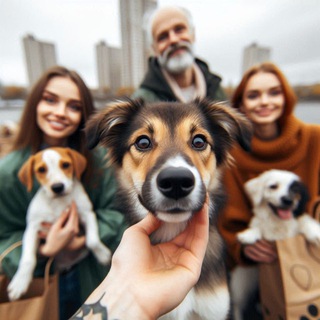 Telegram profile photo for Волонтерская помощь животным. Мордовия
