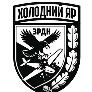 Telegram profile photo for Sky Guards | ППО Холодного Яру