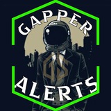 Telegram profile photo for Gapper Stocks Alerts