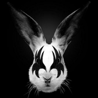 Telegram profile photo for 𝙎𝙏𝙊𝙍𝙔