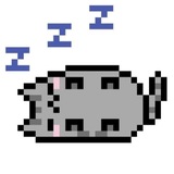 Telegram profile photo for -