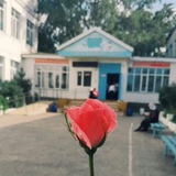 Telegram profile photo for School4Khas