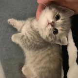 Telegram profile photo for methylena ;woku