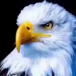 Telegram profile photo for MATRIX π 666 Nova Ordem Mundialπππ§π·π