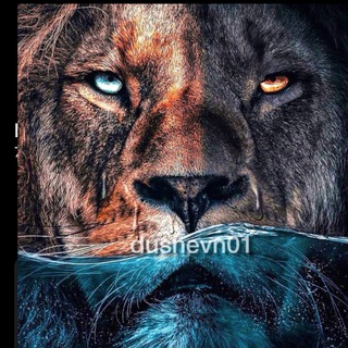 Telegram profile photo for Мотивация | dushevn01 | Саморазвитие
