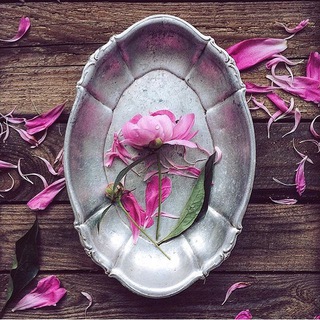 Telegram profile photo for شعري كه زندگيست