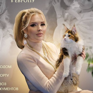 Telegram group profile photo for Доставка / перевозка питомцев в 🇺🇸🇨🇦🇪🇺 Светлана Кирсанова