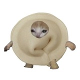 Telegram profile photo for Dumpling Studio